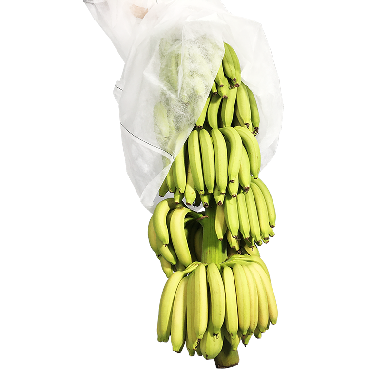 Nonwoven Plant Cover Banana Väska Trädgårdstyg