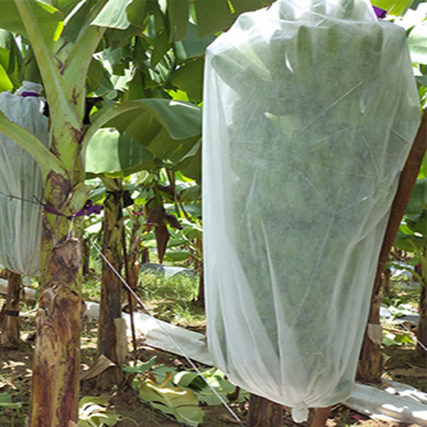 Nonwoven Plant Cover Banana Väska Trädgårdstyg