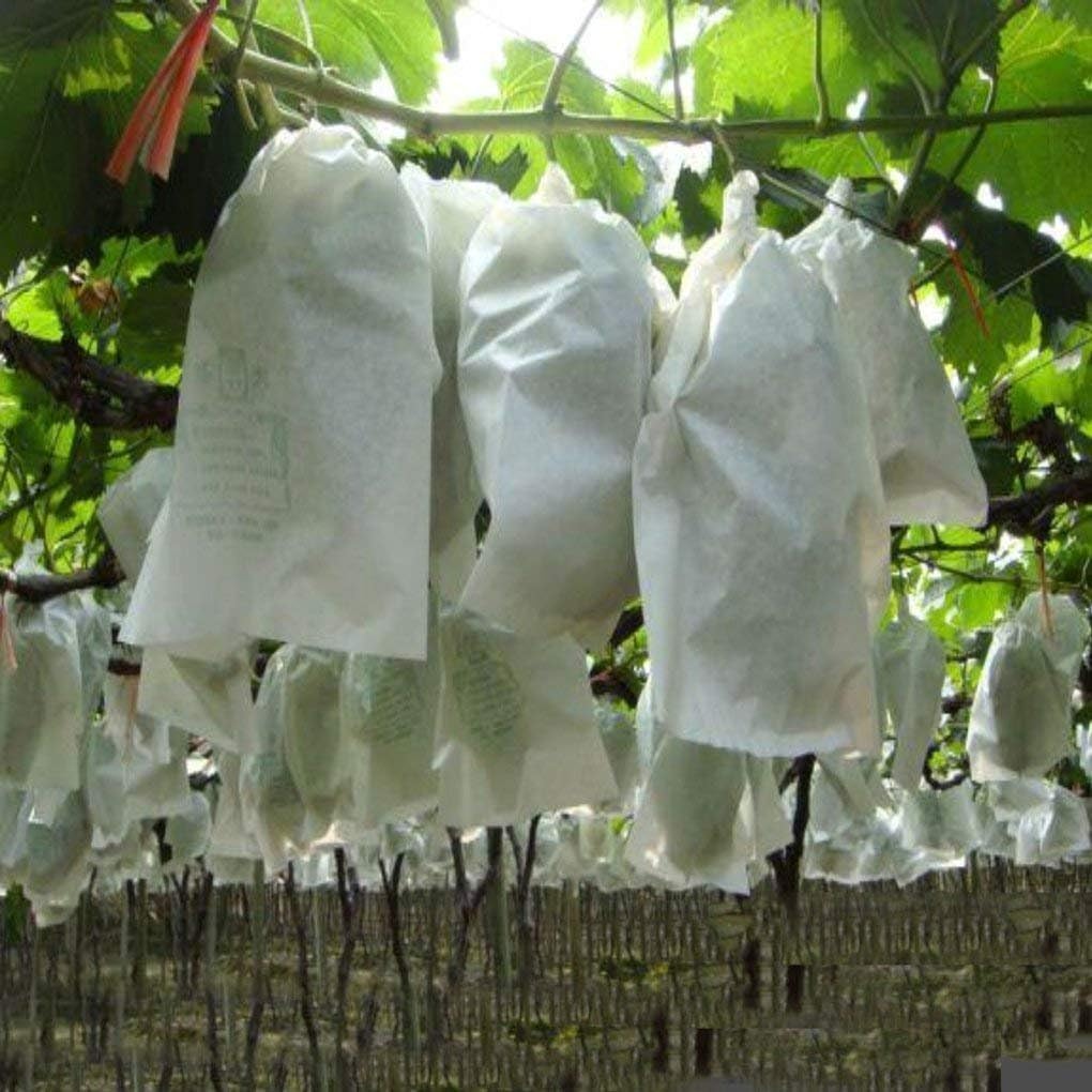 Nonwoven Plant Cover Banana Väska Trädgårdstyg